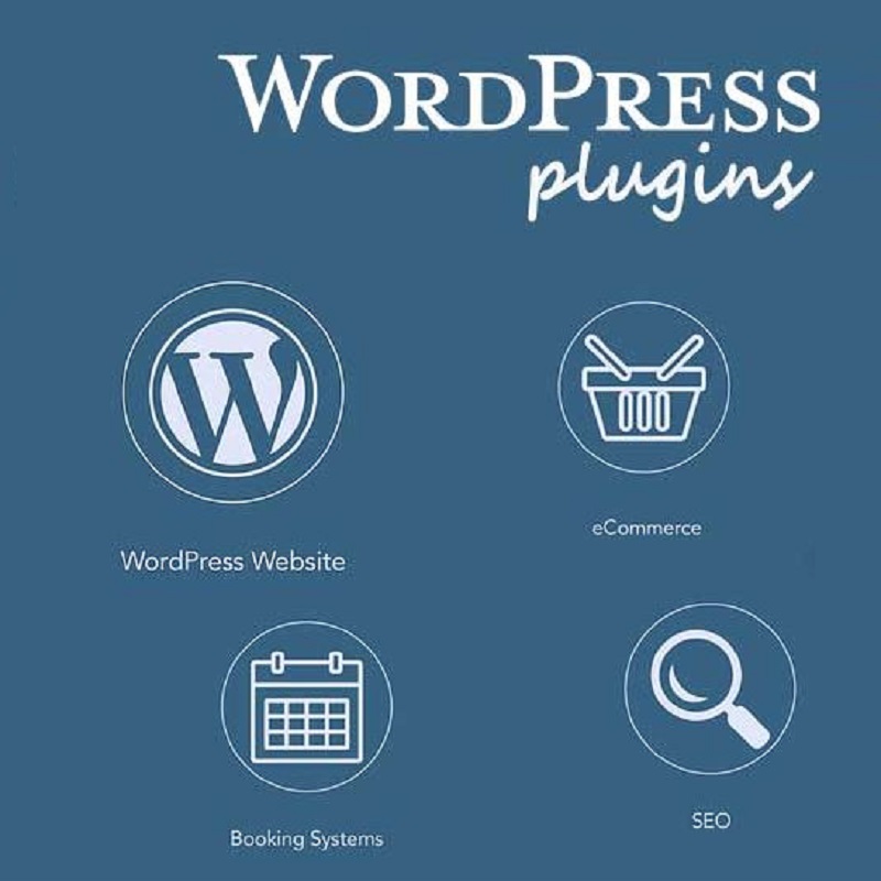 WordPress Plugins